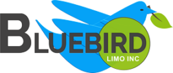 Bluebird Limousine